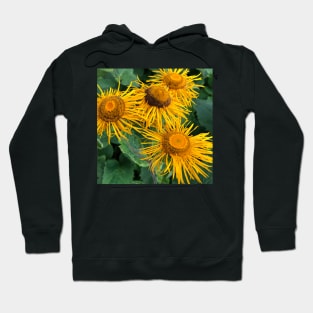 A frame full of Inula Sunflowers Hoodie